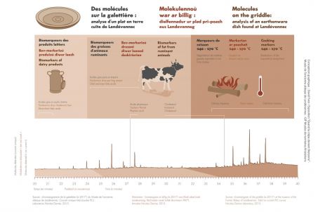 analyses crepes