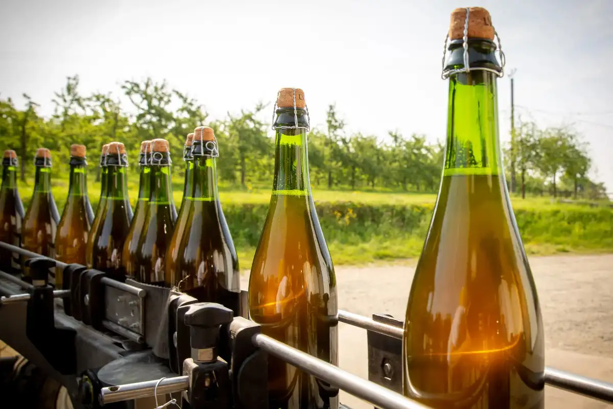bouteilles cidre