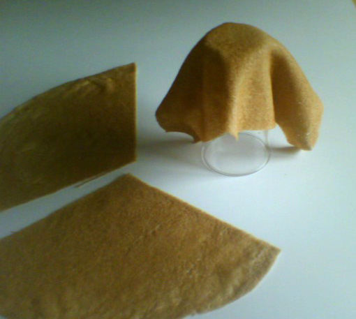 tulipe2
