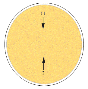 aumoniere