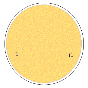 eventail